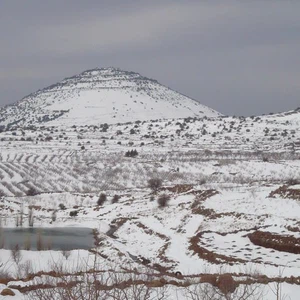صورة أرشيفية