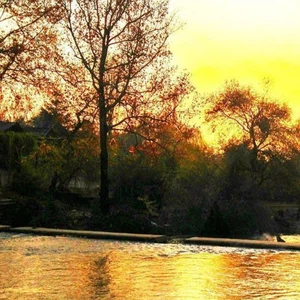 صورة تعبيرية