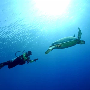 جزر ديراوان.. وجهة مثالية وكنز حقيقي في إندونيسيا