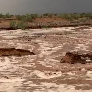 Urgent: Civil Defense rescues 3 people trapped in a flash flood in Tafila Governorate