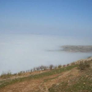 صورة تعبيرية