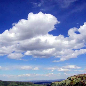 صورة تعبيرية