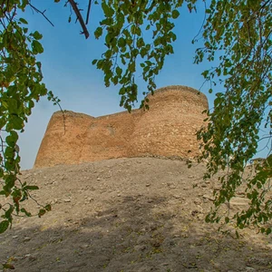 L'île de Tarut .. une icône touristique ornée d'un château historique