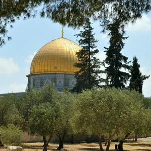 درجات الحرارة الى انخفاض تدريجي اعتباراً من الثلاثاء وحتى نهاية الأسبوع