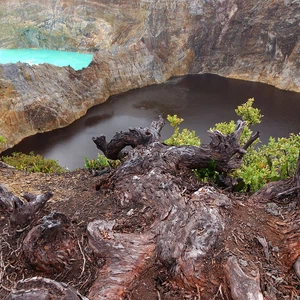 What do you know about the colorful lakes of Flores Island?