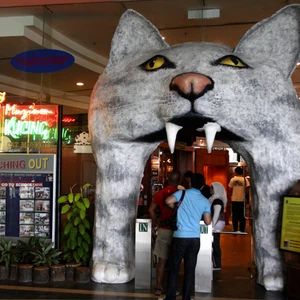 Learn about the Cat Museum in Malaysia