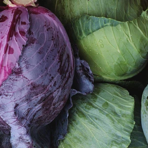 رجيم الملفوف لإذابة الدهون بسرعة كبيرة في الشتاء