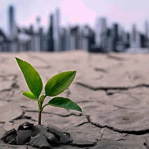 Changement climatique | Septembre dernier a été le record climatique le plus chaud au monde