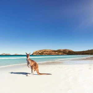 A car trip on the West Coast, Australia