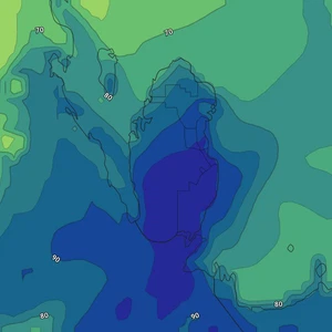 Qatar - Alerte | Risques fréquents de brouillard et avertissement de faible visibilité horizontale pour les nuits à venir
