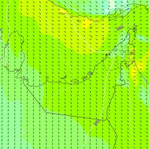 UAE | A dusty weekend in many regions. Find out the details of the forecast weather