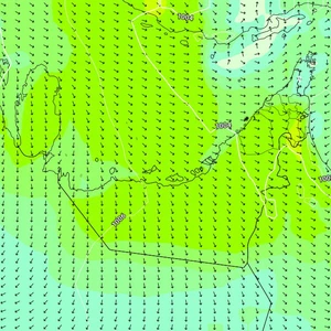 Emirates | It is expected that the dusty weather will continue in the coming days