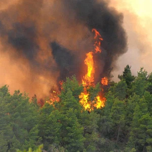 Evacuation of tourists and residents from a resort in Türkiye due to forest fires
