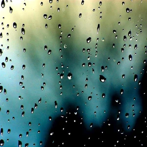 Jordanie | Trois raisons ont rendu la saison des pluies particulière dans le nord et le centre du Royaume, malgré l'absence d'événements météorologiques significatifs