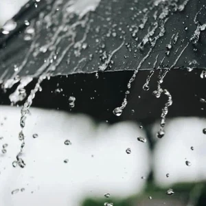 Rainfall performance improved in the desert regions after the recent weather event, but remained below average in other areas.