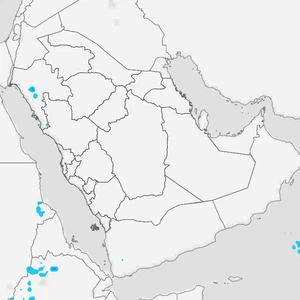 السعودية: فرص للأمطار على هذه المناطق نهاية الأسبوع