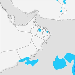 Sultanat d'Oman | Après une longue absence... les orages reviennent sur les monts Hajar au cours de la première semaine de juin