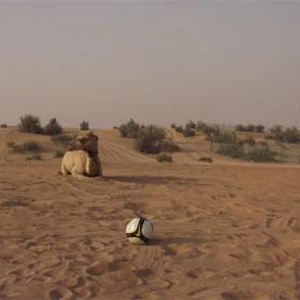 بالفيديو: على خطى بول..