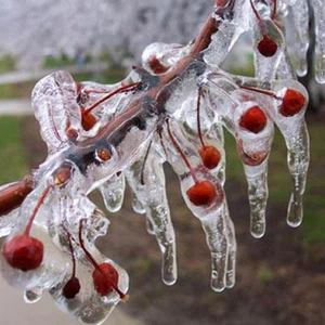 الأردن | تأخير دوام الطلبة ليوم الخميس في إقليم لواء البترا حتى التاسعة صباحاً