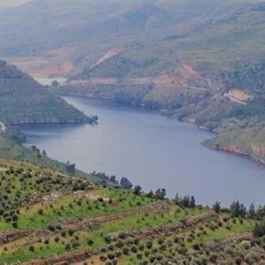 Jordan Valley Authority: One million and 400 thousand cubic meters entered the dams during the past 24 hours