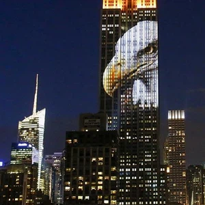 New York rend hommage aux animaux en voie de disparition de manière innovante
