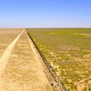 أسباب التصحر في العالم