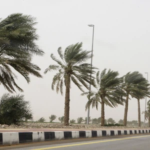 رياح نشطة شمالية غربية باردة تؤدي الى انخفاض درجات الحرارة واثارة الغبار