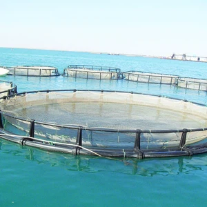 Le changement climatique modifie la productivité de nombreuses pêcheries marines
