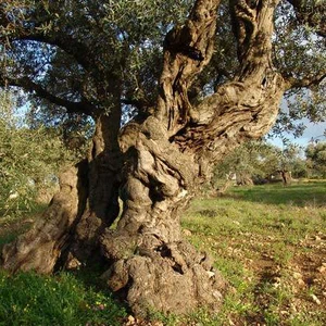 الحرارة تنخفض بشكل طفيف يوم الخميس، وتُعاود ارتفاعها الطفيف يومي الجمعة والسبت