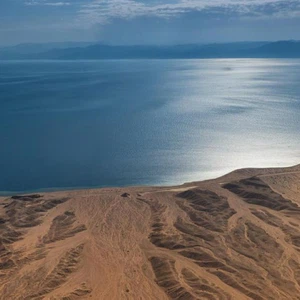 Launching a smart website for the NEOM project
