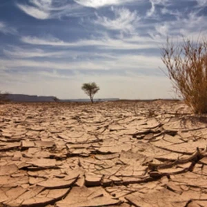 أسبوع دافئ بشكل كبير وجاف بانتظار المملكة والحرارة تتجاوز الـ 25 مئوية في جميع المناطق!