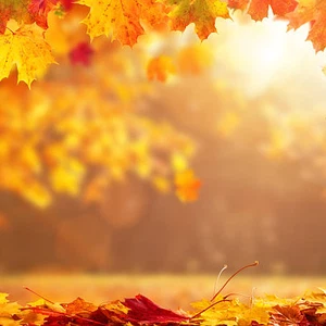 هل غياب الأمطار، حتى الآن يعد أمراً اعتيادياً؟