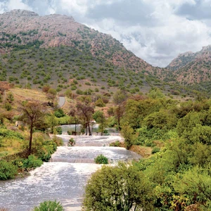 تراجع رقعة وشدة الأمطار على جنوب غرب المملكة الأيام القادمة