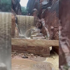 سلطة إقليم البترا.. إجلاء مئات السياح جراء السيول دون تسجيل إصابات | عرب تايم