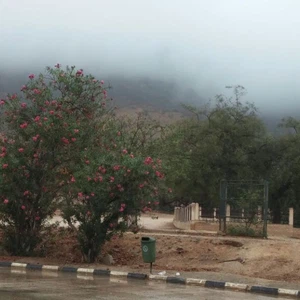 ظهور تكونات على جبال الحجر الغربي نهار اليوم