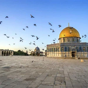 فلسطين | طقس مستقر الاثنين ... و