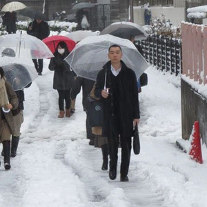 الثلوج الكثيفة في اليابان تتسبب بإصابة نحو 170 شخصاً