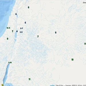 A colder wind is blowing towards the Kingdom, and the cold will intensify in the coming hours.