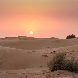 UAE: Al Dhafra region recorded today, Tuesday, a summer temperature exceeding 45 degrees Celsius under the shade