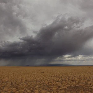 الخميس: فرصة لزخات رعدية من المطر  والغبار خاصة غرباً وانخفاض على الحرارة