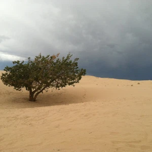 سحب ركامية محتملة على الأجزاء الداخلية من المنطقة الشرقية 