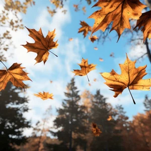 Signs and portents of autumn
