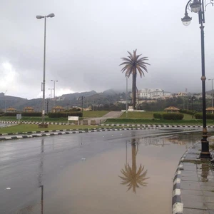 الأحد.. زخات متوقعة من المطر ورياح مثيرة للغبار على شرق البلاد