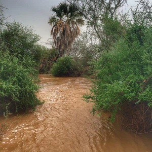  بالصور : سحابة رعدية ضخمة  تغطي مساحة مئة ألف كيلومتر مربع تؤثر على جازان عصر الثلاثاء