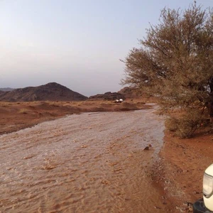 الأمطار تهطل علی حائل 