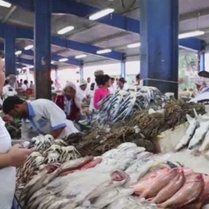الإمارات تدُق ناقوس الخطر بعد استنزاف 80% من ثروتها السمكية 