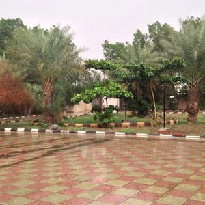 صورة من أمطار جازان اليوم 
