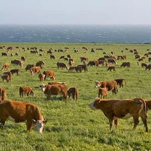     كوستاريكا تسعى للاعتماد الكلي على الطاقة المتجددة بحلول 2021  