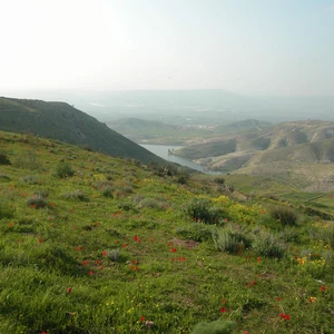 ماذا تعرف عن لواء الكورة بمحافظة اربد بشمال الاردن 