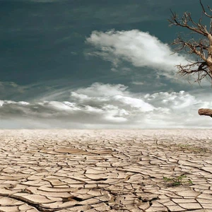 تعريف التصحر ونسبة التصحر في الوطن العربي والعالم